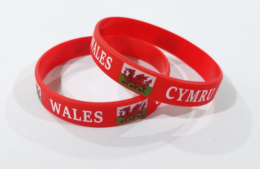 Wales Supporters Wristband - St Davids Day - Cymru